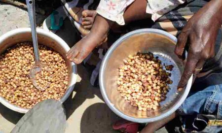 Commission internationale : Un quart de la population africaine fait face à une crise de sécurité alimentaire