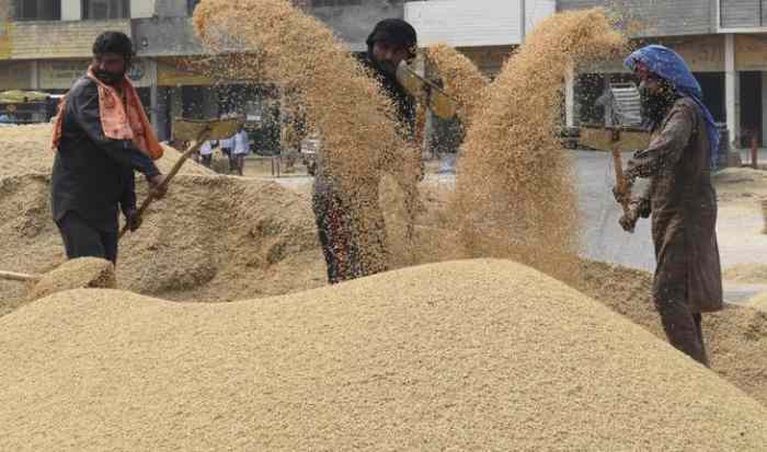 L'Egypte envisage l'Inde pour l'importation de blé