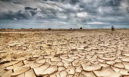 "Pire sécheresse en quarante ans": des millions d'Éthiopiens menacés par l'échec répété de la saison des pluies