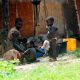 La FAO se mobilise pour aider les pays d'Afrique de l'Ouest à lutter contre la famine