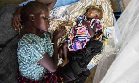 Nigeria : la fièvre de Lassa a fait 123 morts depuis janvier