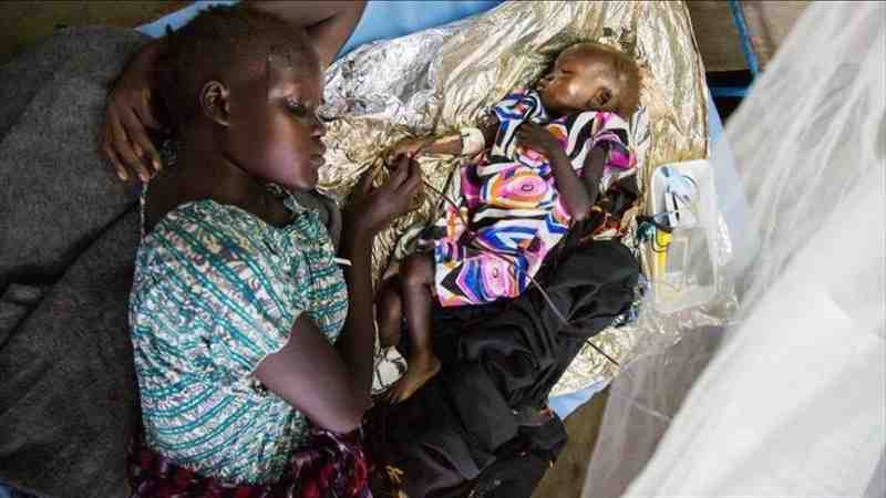 Nigeria : la fièvre de Lassa a fait 123 morts depuis janvier