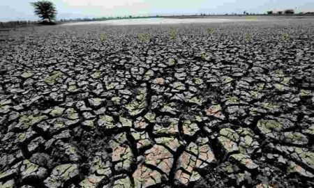 OMS : L'Afrique face à une urgence sanitaire liée au climat