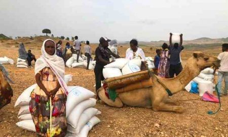 L'ONU est confrontée à des difficultés croissantes pour atteindre les personnes dans le besoin au Tigré