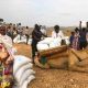 L'ONU est confrontée à des difficultés croissantes pour atteindre les personnes dans le besoin au Tigré