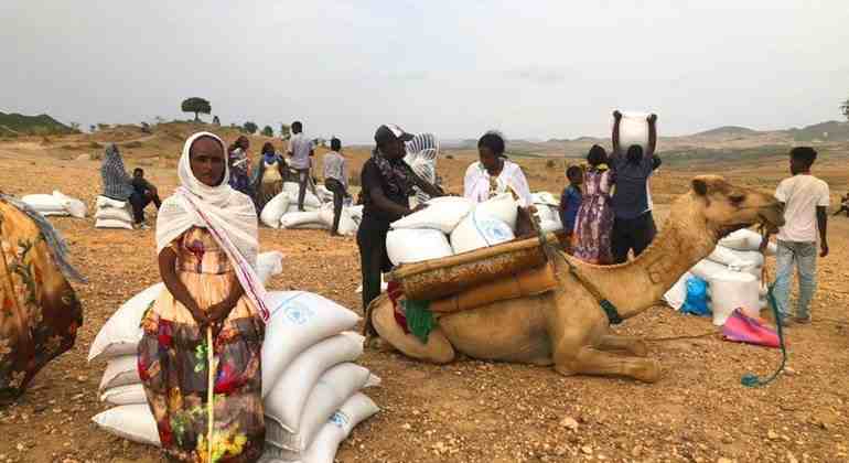 L'ONU est confrontée à des difficultés croissantes pour atteindre les personnes dans le besoin au Tigré