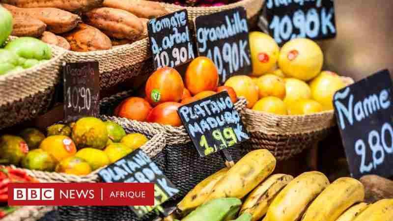 Sall appelle à la sécurité alimentaire face à la hausse des prix