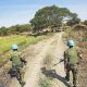 550 Casques bleus éthiopiens en service au Soudan ont demandé l'asile