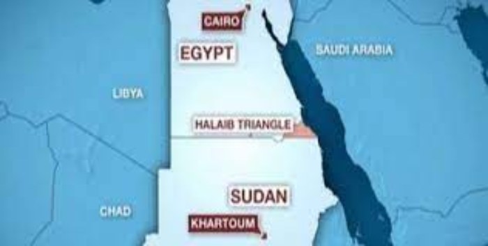 Conflit en nombre et en conditions...Les Soudanais en Egypte entre stabilité, retour et asile en Europe