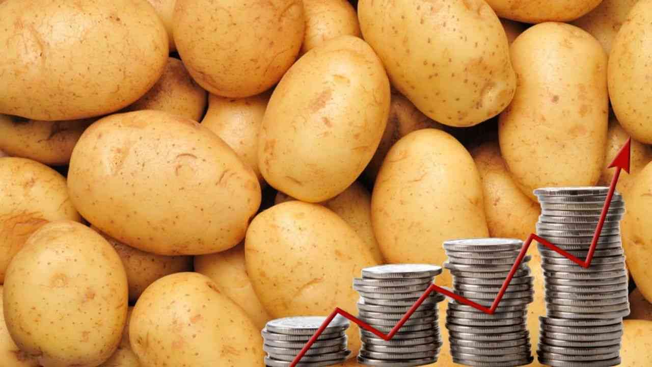 Les prix élevés privent les Algériens de leur amant, la pomme de terre, pendant le Ramadan