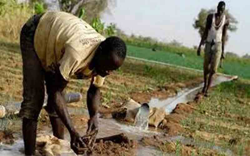 L'adaptation au changement climatique pourrait-elle débloquer la productivité agricole de l'Afrique ?