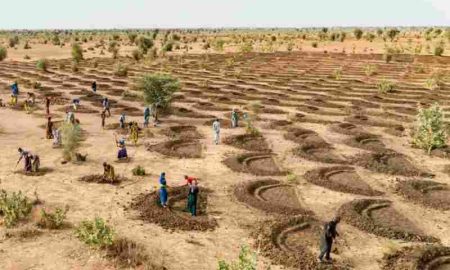 Conférence sur la lutte contre la désertification en Afrique et faire la paix avec la nature