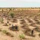 Conférence sur la lutte contre la désertification en Afrique et faire la paix avec la nature