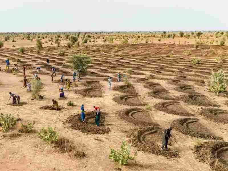 Conférence sur la lutte contre la désertification en Afrique et faire la paix avec la nature