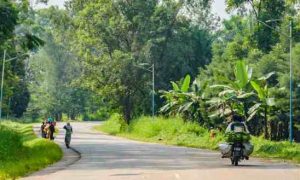 L'appui de la BAD à deux projets routiers ouvre d'importantes zones agricoles en RDC