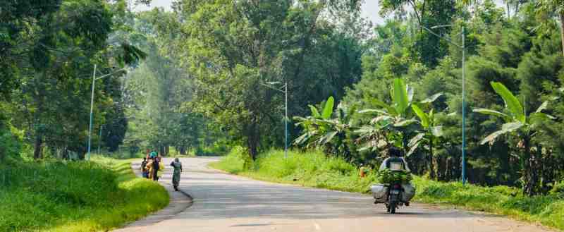 L'appui de la BAD à deux projets routiers ouvre d'importantes zones agricoles en RDC