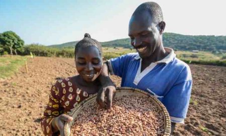 Le CIMMYT dirigera le projet d'amélioration variétale et de livraison de semences du CGIAR en Afrique