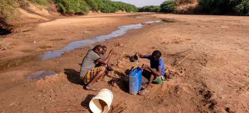 Des vies et des communautés touchées par la sécheresse dans la Corne de l'Afrique