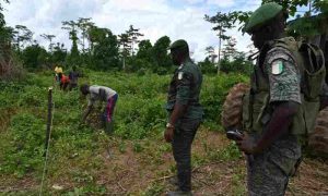 La Côte d'Ivoire vise à lever 1,5 milliard de dollars pour restaurer les forêts et augmenter la production alimentaire