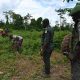 La Côte d'Ivoire vise à lever 1,5 milliard de dollars pour restaurer les forêts et augmenter la production alimentaire