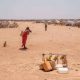 L'Éthiopie connaît la pire sécheresse en 40 ans