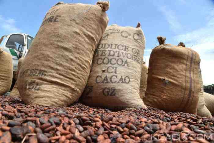 Négociations européennes avec la Côte d'Ivoire et le Ghana pour régler les prix du cacao