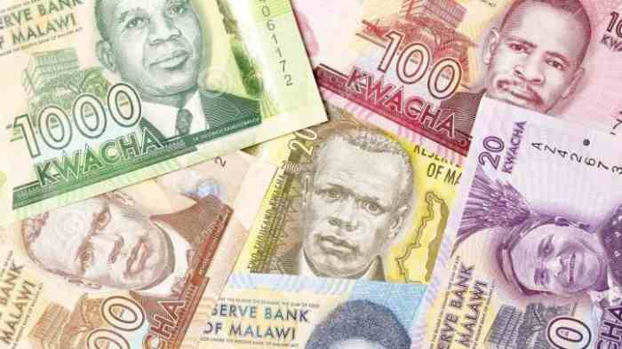 Malawi : le kwacha s'affaiblit de 25 %