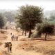 Le PNUD et l'APGWL s'associent pour verdir le Sahel pour des moyens de subsistance durables