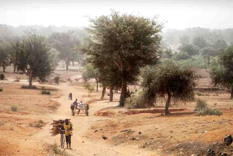 Le PNUD et l'APGWL s'associent pour verdir le Sahel pour des moyens de subsistance durables