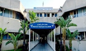 Institut Pasteur : il n'y a pas d’infections au Monkeypox en Algérie