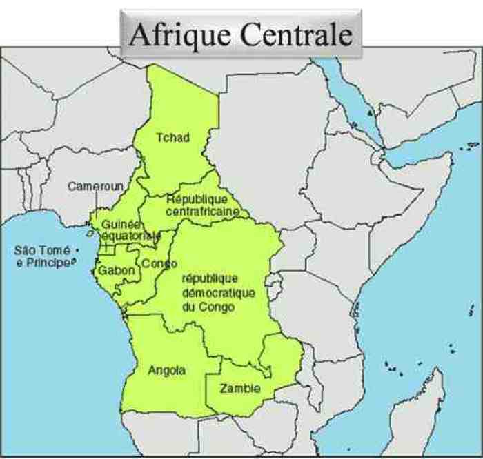 Les pays d'Afrique centrale sont confrontés à des défis politiques, sécuritaires et climatiques qui peuvent affecter les pays voisins