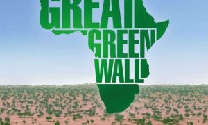 "La Grande Muraille Verte"...Un rêve africain pour faire revivre le désert vert et lutter contre la désertification