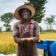 Un nouvel investissement permet aux petits agriculteurs ougandais d'accéder au financement