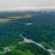 Changement climatique : les « poumons humains » menacés dans le bassin du Congo