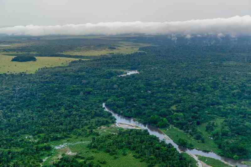 Changement climatique : les « poumons humains » menacés dans le bassin du Congo