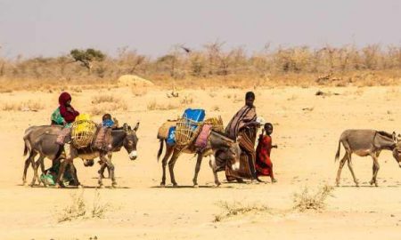 Agences humanitaires : Le spectre de la famine plane sur la Corne de l'Afrique après 4 sécheresses