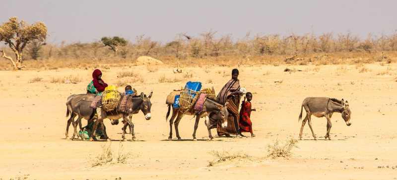Agences humanitaires : Le spectre de la famine plane sur la Corne de l'Afrique après 4 sécheresses