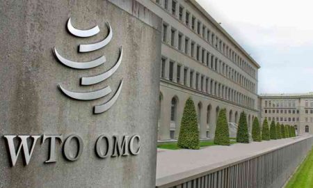 L'Egypte refuse de soutenir les accords de l'OMC sur l'alimentation