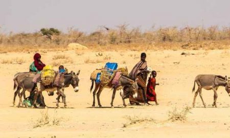 La FAO appelle à une action rapide pour éviter une catastrophe dans la Corne de l'Afrique