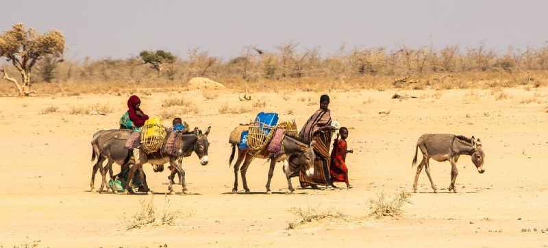 La FAO appelle à une action rapide pour éviter une catastrophe dans la Corne de l'Afrique