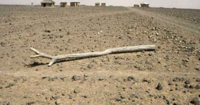 La croissance du Kenya devrait ralentir en 2022 en raison de la sécheresse persistante et de la crise ukrainienne
