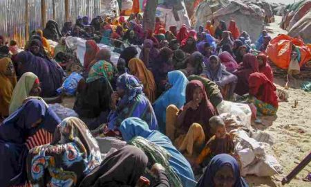 Responsable d'Oxfam : les régions d'Afrique de l'Est et de l'Ouest sont les plus exposées au risque de famine