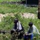 15 civils tués par des rebelles en RD Congo