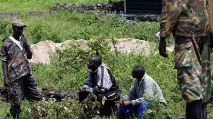 15 civils tués par des rebelles en RD Congo