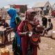 Programme alimentaire mondial : Plus d'un tiers de la population soudanaise est menacée d'insécurité alimentaire aiguë