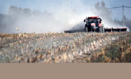 Décisions gouvernementales et peurs extérieures...Les pesticides menacent-ils l'agriculture égyptienne ?