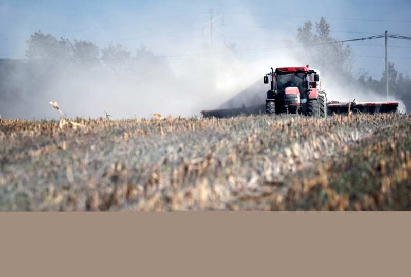 Décisions gouvernementales et peurs extérieures...Les pesticides menacent-ils l'agriculture égyptienne ?