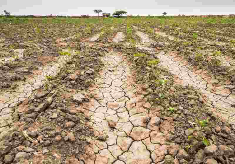 L'USAID promet 1,3 milliard de dollars pour aider la Corne de l'Afrique frappée par une grave sécheresse
