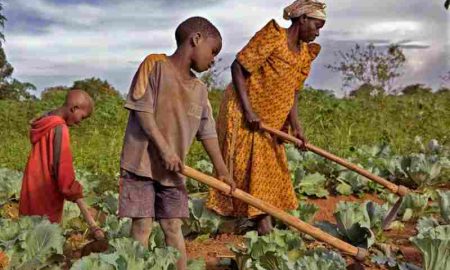 FSD Afrique s'associe à la Fondation Rabo pour financer une agriculture durable pour les petits agriculteurs africains