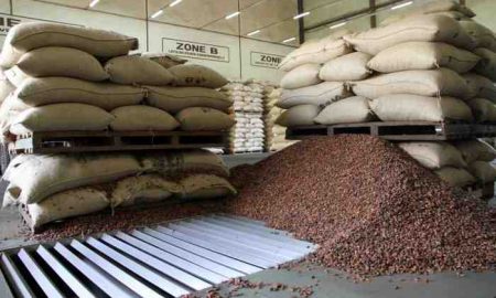 L’industrie cacaoyère du Ghana se prépare pour la scène mondiale